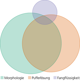 Venn-Diagramm mit drei sich überschneidenden Kreisen zu Morphologie, Pufferlösung und Fangflüssigkeit