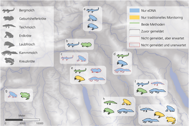 Infografik über Amphibienverbreitung mit verschiedenen Symbolen für Arten: Bergmolch, Geburtshelferkröte, Teichmolch, Erdkröte, Laubfrosch, Kammmolch, Kreuzkröte. Symbole zeigen Monitoring-Methoden und Status.