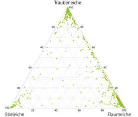 Dreieckige Grafik mit drei Achsen beschriftet: 'Traubeneiche', 'Stieleiche', 'Flaumeiche'. Grüne Punkte zeigen Datenverteilung im Diagramm.