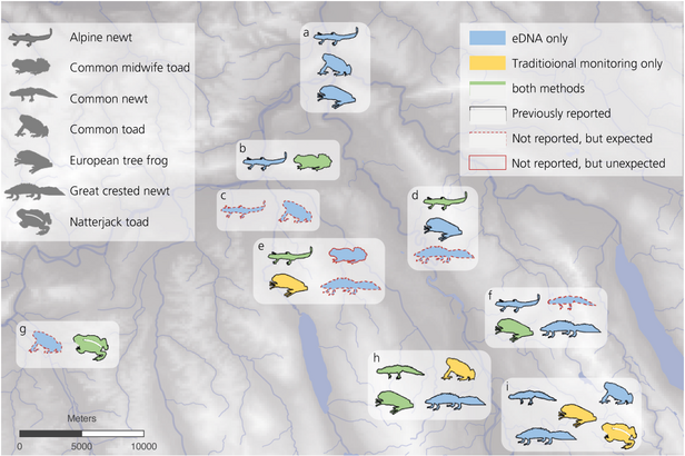 Map showing distribution of amphibian species: Alpine newt, Common midwife toad, Common newt, European tree frog, Great crested newt, Natterjack toad. Includes symbols for eDNA only, traditional monitoring, and both methods.