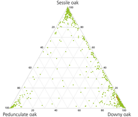 Ternary plot showing the distribution of three oak species: 'Sessile oak', 'Pedunculate oak', and 'Dwarf oak'. Data points are represented in green across the triangular grid.