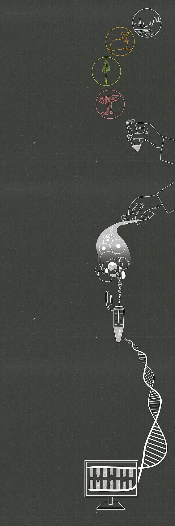 Grafik zeigt eine vertikale Anordnung von Symbolen: oben ein Pilz, ein Schneehase, eine Tamariske und eine Stadt. Darunter eine Hand, die einen Reagenzglas hält, und ein DNA-Strang, der zu einem Computerbildschirm führt.