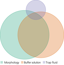 Venn diagram with three overlapping circles labeled 'Morphology' in light green, 'Buffer solution' in light orange, and 'Trap fluid' in light purple.