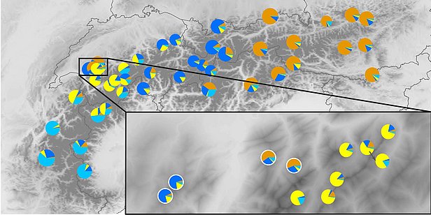 Karte von Fribourg mit blauen, gelben und orangefarbenen Kreissegmenten, die verschiedene Datenpunkte darstellen, über einem topografischen Hintergrund.