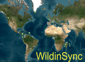 Weltkarte mit Markierungen in Nord- und Südamerika, Europa, Afrika und Asien. Text 'WildinSync' in gelber Schrift unten.