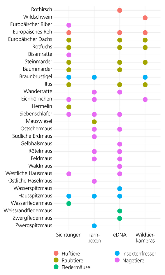 Infografik über Tierarten nach Gewicht, zeigt verschiedene Arten wie Rothirsch, Wildschwein und Fledermäuse, mit farbigen Punkten für Sichtungen, Tarnboxen, eDNA und Wildtierkameras.